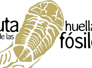 Ampliación del horario del museo y ruta de los fósiles guiada