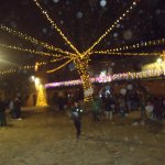 DSC08673