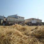 DSC09047