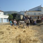 DSC09051