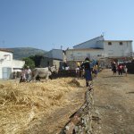 DSC09055