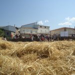 DSC09061