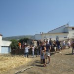 DSC09062