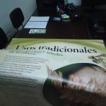 DSC09113