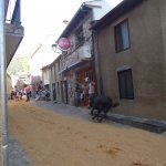 DSC09194