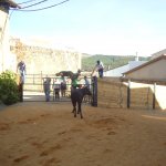 DSC09196