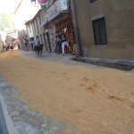 DSC09197