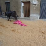 DSC09202
