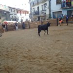 DSC09205