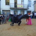 DSC09211