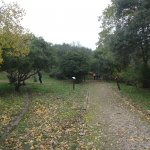 DSC09265