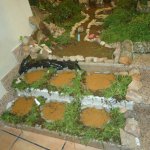 DSC09306