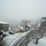 DSC09393