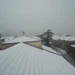 DSC09394