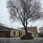 DSC09396