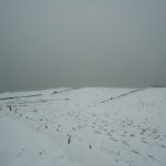 DSC09398