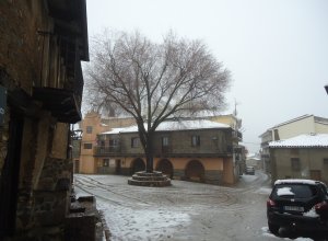 El Ayuntamiento decreta la suspensión temporal, de la fiesta patronal de invierno.