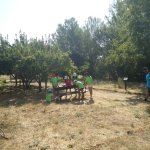 DSC09590