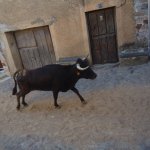 DSC09736