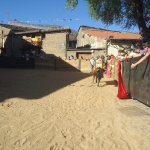 DSC09741