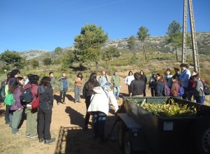 Los belloteros de la Fundación Tormes, reforestan en Monsagro.